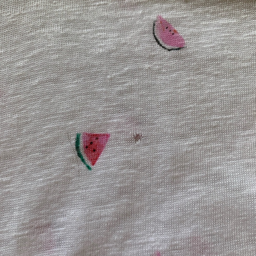 Rails Cropped Watermelon Print Linen T-Shirt Sz Xs - image 7